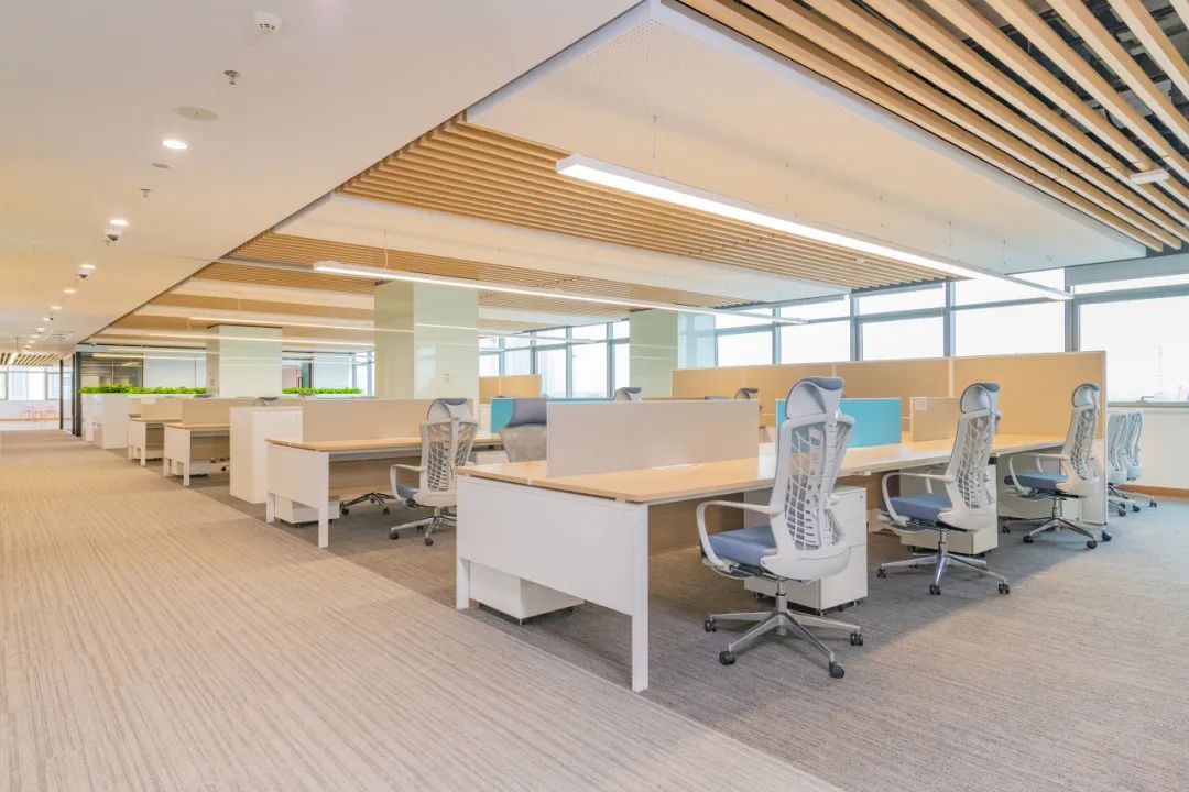美女污网站办公家具